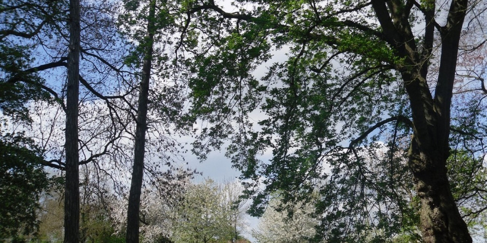 le clos st geoges0012 le clos st geoges0012