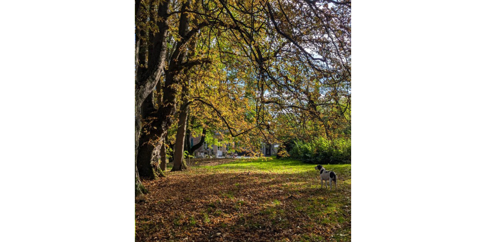 le clos st geogesparc0002 le clos st geogesparc0002