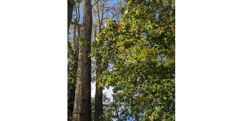 le clos st geogesparc0004 le clos st geogesparc0004