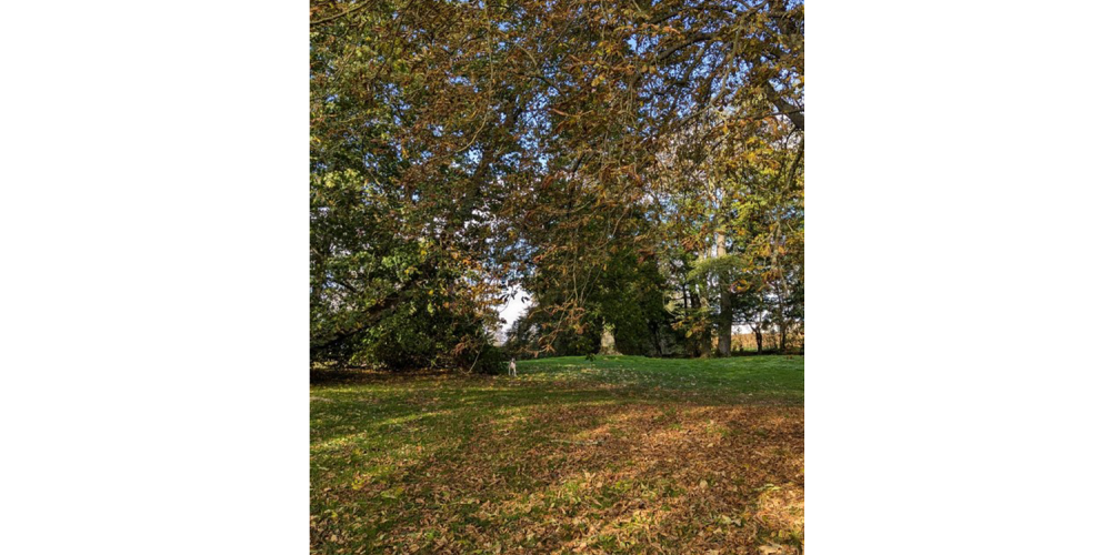 le clos st geogesparc0005 le clos st geogesparc0005